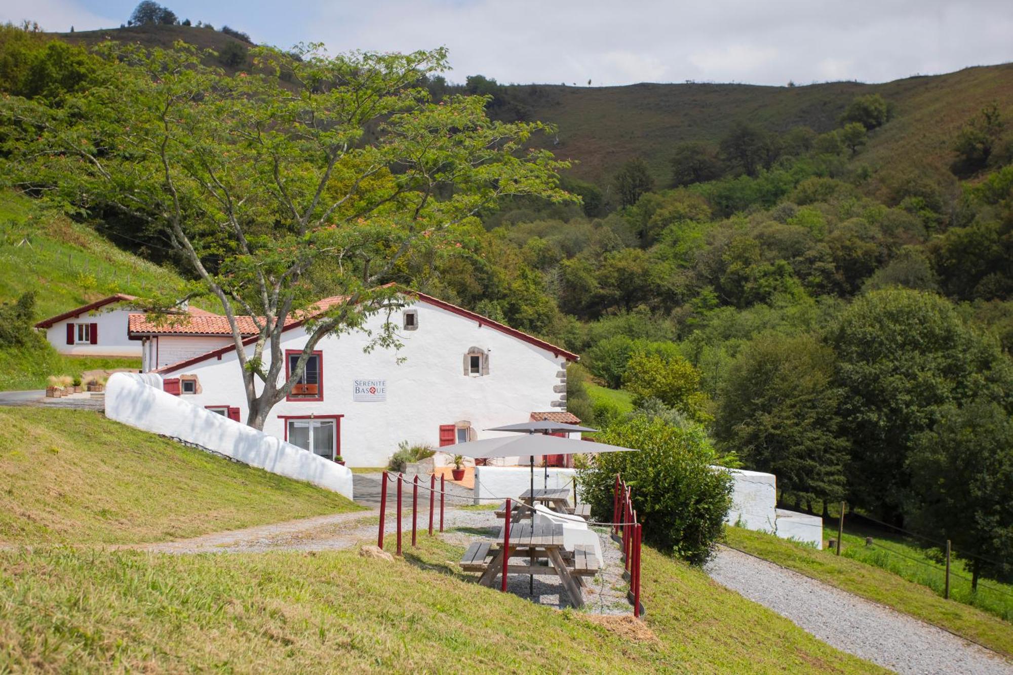 Serenite Basque *